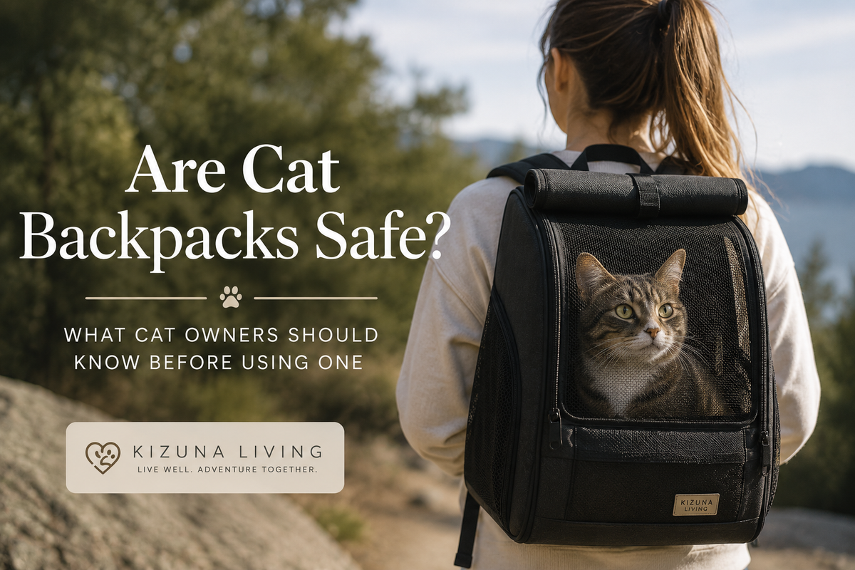 Are Cat Backpacks Safe? What Vets & Experts Want You to Know