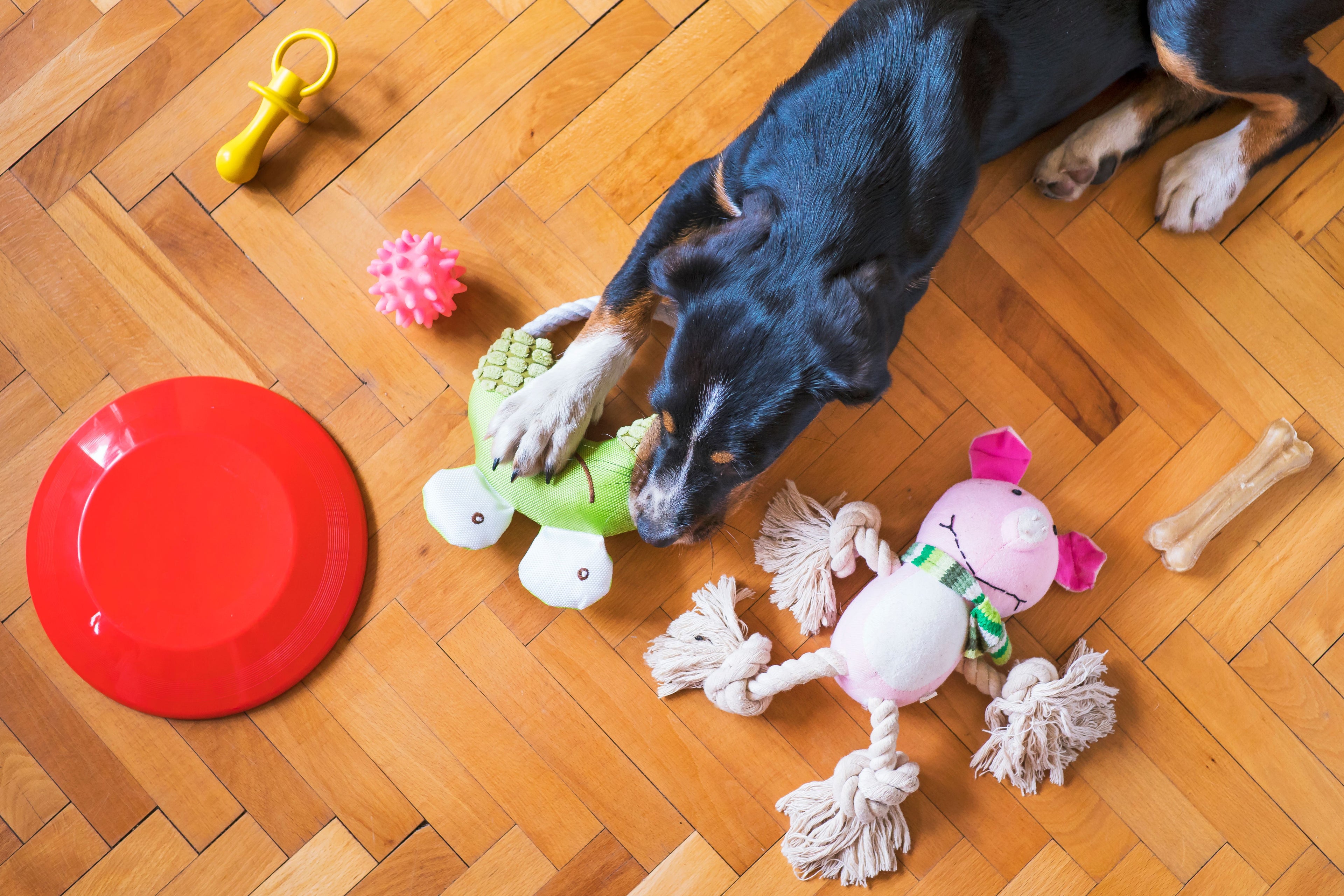 Toys category